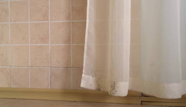 Best Indoor Air Quality Assessment  in Rio Rico, AZ