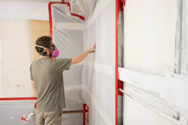 Best Residential Mold Inspection & Testing  in Rio Rico, AZ