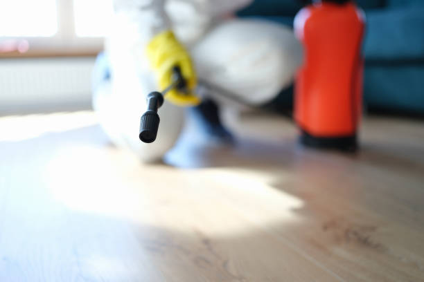 Mold Documentation for Insurance Claims in Rio Rico, AZ