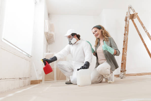 Best Commercial Mold Inspection  in Rio Rico, AZ
